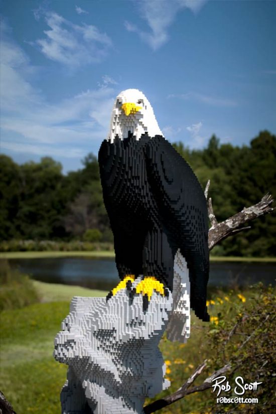 Lego Bald Eagle